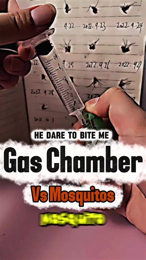 Mosquito vs gas chamber he dare to bite me #Mosquito #gas #trap #revenge #viralvideo