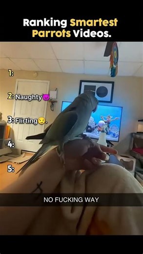 Ranking Smartest Parrots That Will SHOCK You! 🦜🧠