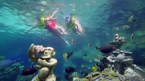 442K views · 312 shares | A whole new world of discovery awaits at Aulani, A Disney Resort and Spa! Enjoy up-close encounters with tropical fish at Rainbow Reef, the only private snorkeling lagoon on O’ahu! | Aulani, A Disney Resort & Spa | Facebook