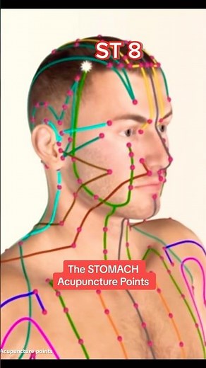 The Stomach meridian 45 acupuncture points pathway #acupuncturelife