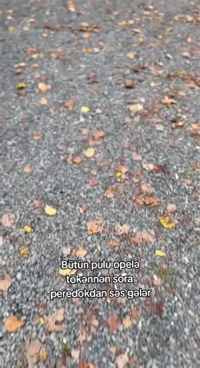 Azerbaycan Müziği: Bütün Pulu Opela