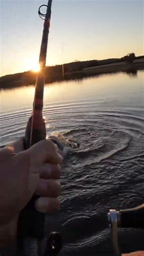 The Timing Was Perfect!