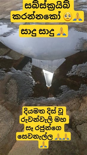 සෑ රජුන් 🙏❤️ #budubana #viral #kuvait