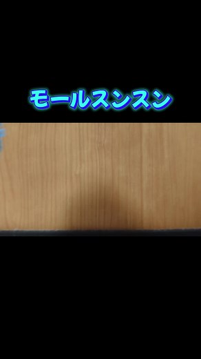 DAISOのモールで作る可愛いスンスンパペット