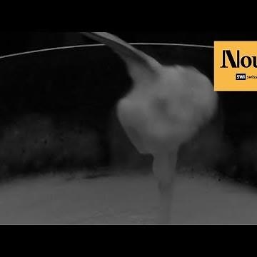 The secret history of fondue