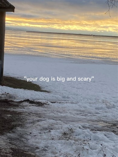 Is My Dog Scary? Meet Rex!