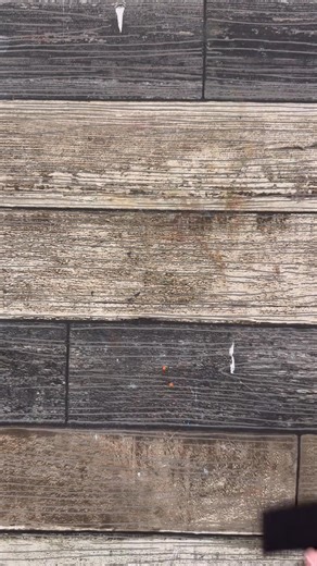 15K views · 500 reactions | After you see how I decorated with these Dollar Tree witch legs you’re gonna want to grab several pair! 珞李慄. #PumpkinSeason #crafter #Halloween #halloweendecor #falldecor #FallVibes #diyprojects #dollartreediy #dollartreefinds #dollartree #witchyvibes | Gnome & Backyard | Facebook