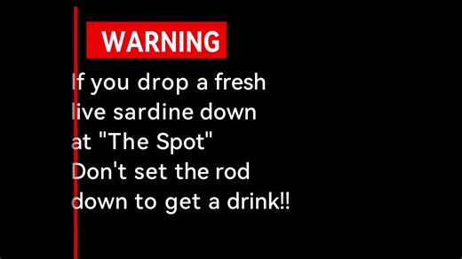 Fish Collector on TikTok