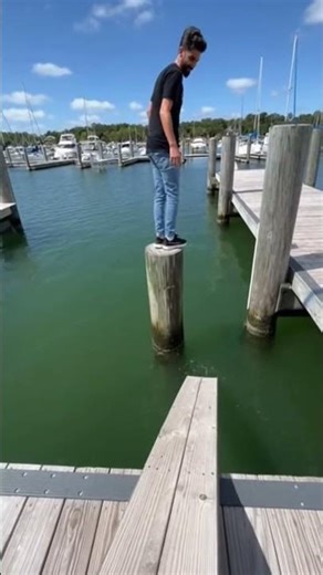 Lesson #1: Don't trust anyone. (Wait for it) 🌉