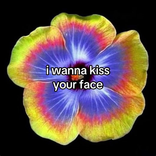 i wanna kiss your face #poetry #flower #flowers #hope #soulmate | poetry