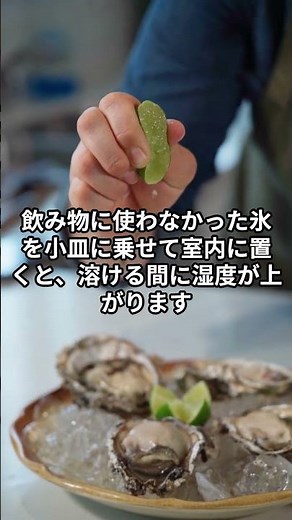 簡単に部屋の湿度を上げる方法5選！！#湿度アップ #乾燥対策 #冬の暮らし #加湿方法 #快適な部屋 #簡単DIY #インテリア #暮らしの知恵 #乾燥肌対策