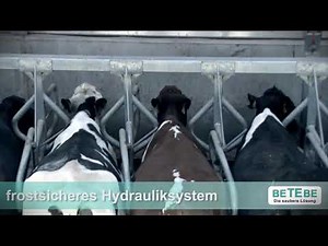 BETEBE Melkstandgerüste // Stalleinrichtung