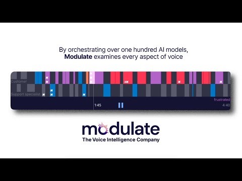 See What’s Really Happening in Voice | Modulate