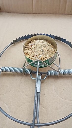 #กับดักหนู #trapping rat