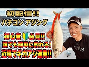【バチコンアジング】初配信❕お手軽に楽しめるバチコンアジング❕誰でも簡単に釣れる❕近場でギカアジが連発❕❕#アジング #バチコンアジング #アジングワーム