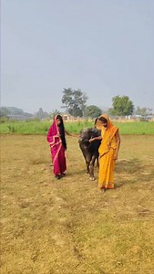 190K views · 10K reactions | Jitendra Jack मैथिली कॉमेडी वीडियो ll #JitendraJack #comedy #video #new #viral #trending #video 藍藍藍 | Jitendra Jack Vines | Facebook