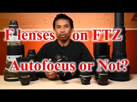 Nikon Z camera + FTZ adapter & F mount lenses compatibility