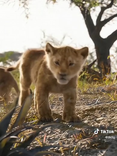 Introducing Nala: The Beloved Lioness from The Lion King