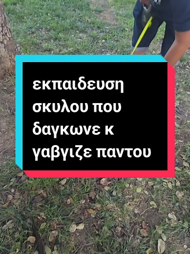 Η ηλικία ειναι απλα ενα νουμερο!!! 🙂 #εκπαιδευσησκυλωνΑθηνα #εκπαιδευσηστηνβολτα #dogtrainig #εκπαιδευση_σκυλων