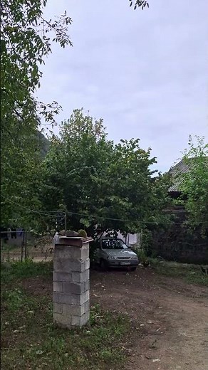 Cozy Village ASMR - Rustic Cottages & Misty Mountain View