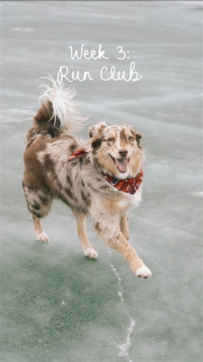 Hazel & Rachel on Instagram: "It’s week 3 of run club & here’s the honest truth… I wanted to sleep in and not show up 🤪 but that’s when you know you’re about to have one of the best runs ever. It’s still cold outside & it’s always dark when I wake up to get ready but think one of the hardest parts about running is forcing yourself to get up and start moving! We are so excited about this particular run though because the @the_dogs_meow helped sponsor this run & provided some yummy treats for the