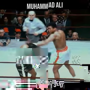 Float like a butterfly, sting like a bee. | Boxing Corner