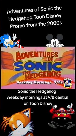 Adventures of Sonic the Hedgehog Toon Disney Promo from the 2000s #adventuresofsonicthehedgehog