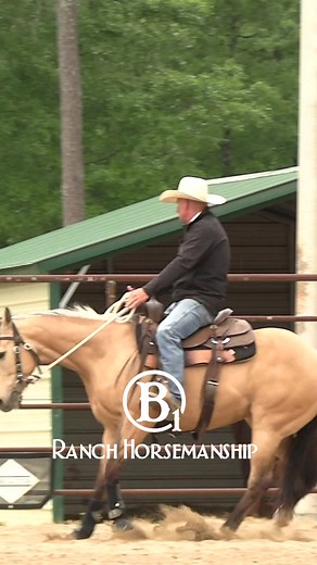 Authentic Horse Training & Ranching Videos | B1 Horsemanship