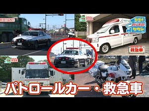 【のりもの図鑑】緊急車両大集合！パトロールカー、救急車、他（はたらくくるま）