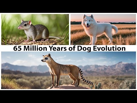 Time-Lapse Dog Evolution: From Cimolestes (Rodent Like) to Modern Dog. With AI