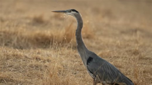 Smart Masking Shortcuts to Speed Up Lightroom Classic