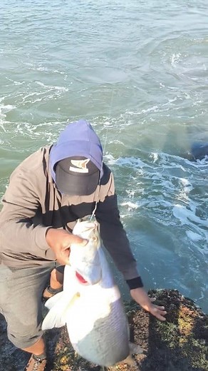 kenangan lomba mancing #mancing #fishing | Imam Jr.