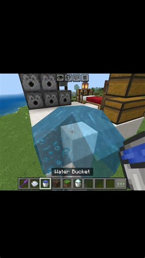 Minecraft Invisible Ladder...(Sea Shandy Medley) #minecraft #shorts