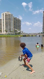 11K views · 56 reactions | This bird doubled back!! 藍藍 #Beach #Humor #Funny #Reels | Welcome to Mellyland | Facebook