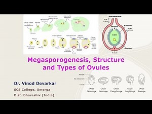 Megasporogenesis, Structure and Types of Ovules by Dr. V. D. Devarkar