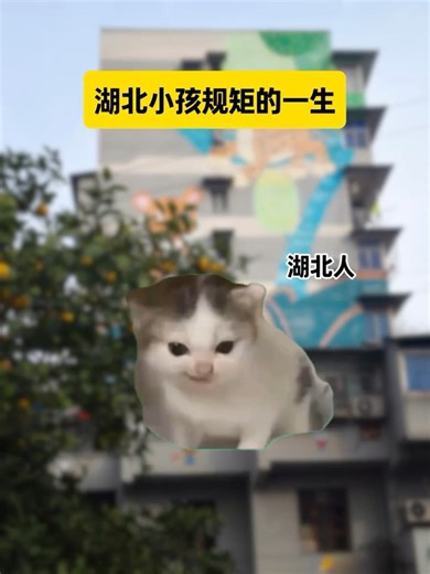 湖北小孩规矩的一生…… \n#湖北