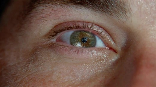 New book looks back on things we lost since LOST premiered 20 years ago