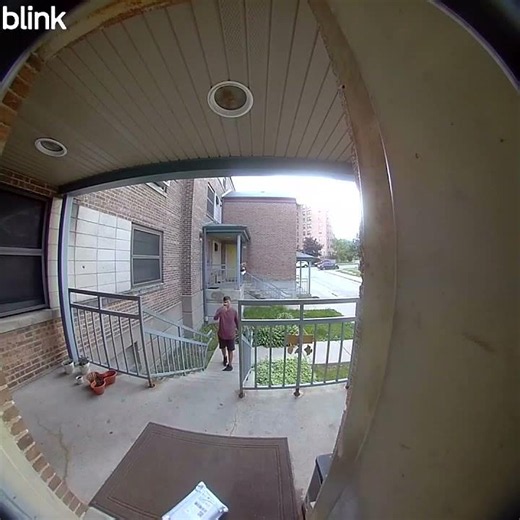 Tiktok Shop reviews: TERRIBLE DELIVERY SERVICES | PissedConsumer.com
