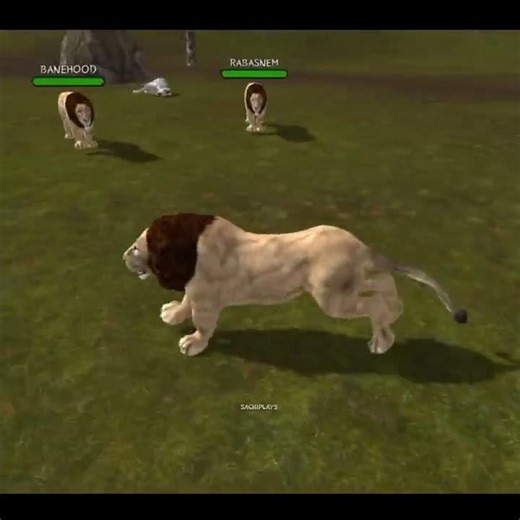 Ultimate Lion Simulator Gameplay Walkthrough part 1 #shorts