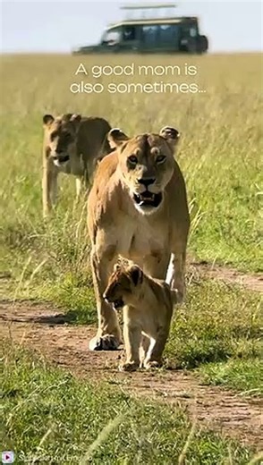 A good mom is a fighting mom