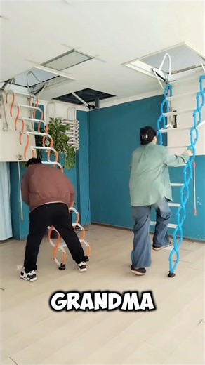 Sister Premium Ladder 😱 #funny