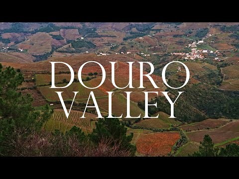 Road Trip Through Douro Valley | Portugal