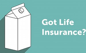 Term life insurance explained | 定期人寿保险深度解析 |每个月30美金就能搞定的人寿保险