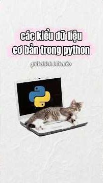 Các kiểu dữ liệu cơ bản trong python #cat #coding #code #python