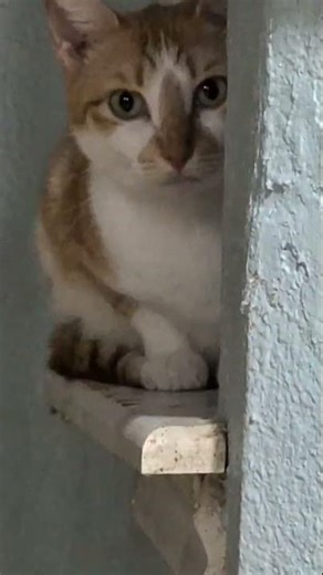 getting ready to start the new day - Ms Freckles