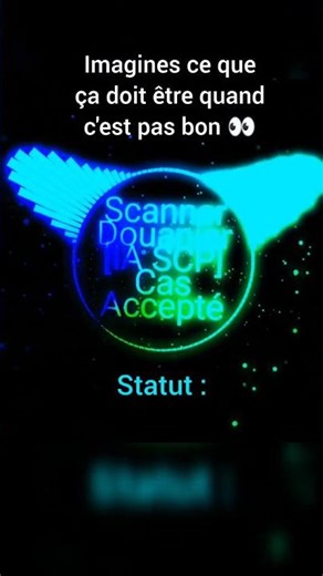 SCP : Scanner Douanier : Je veux pas savoir ce qui se passe quand ça marche pas 😅