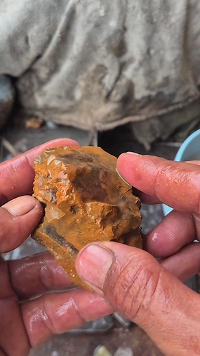 Colors that are quite rare in coral fossils #gemstone #curving #jade #fosil #jewelry #gemstone #gems #amethyst #mineral #agatecollector #agate #art #fblifestyle | Supra Afrianto