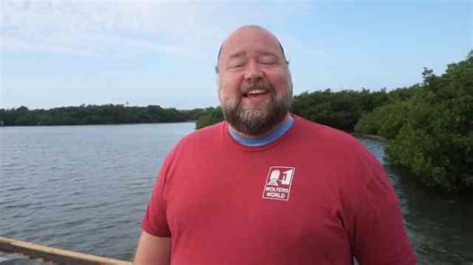 10 culture shocks tourists experience when visiting Florida