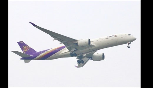 中考结束了！泰国航空359降落上海浦东国际机场