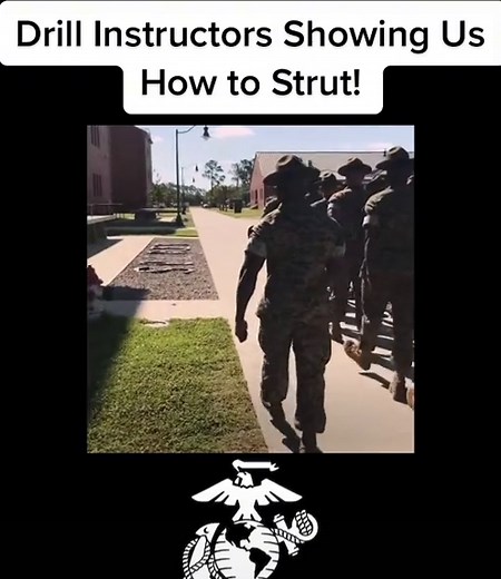 Drill Instructors Leading the Way with Precision Struts!
